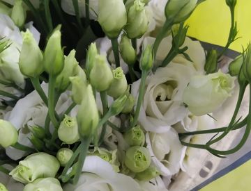 Заглянем в отдел срезанных цветов?